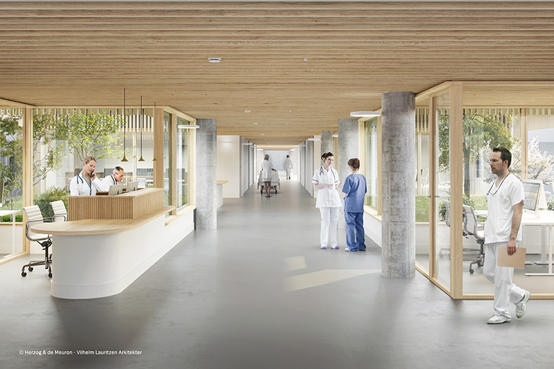new north zealand hospital